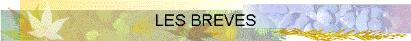 LES BREVES
